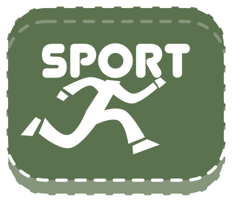 100 questions Sports